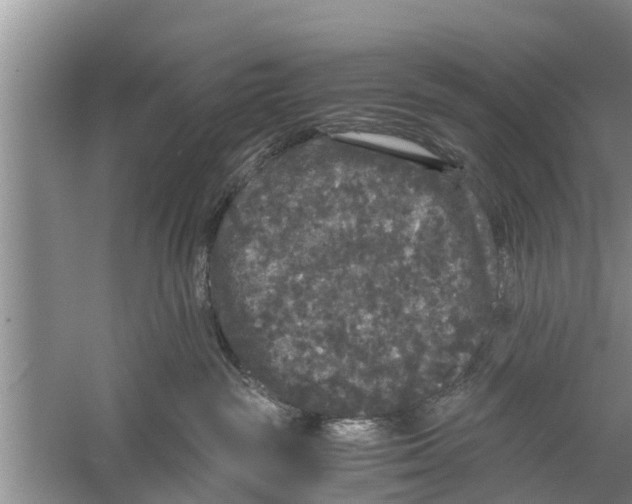 X0000058760189200510281928