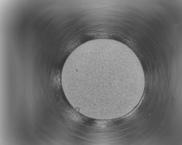 X0000058760190200510281928