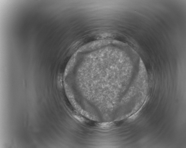 X0000058760191200510281928