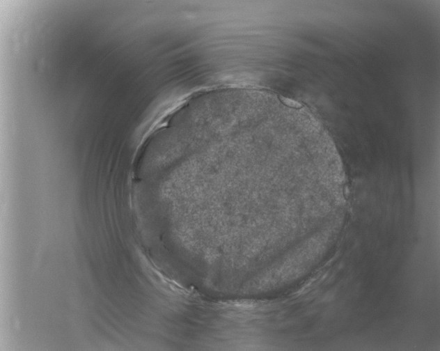 X0000058760194200510281927