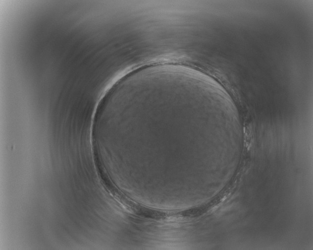 X0000058760196200510281927