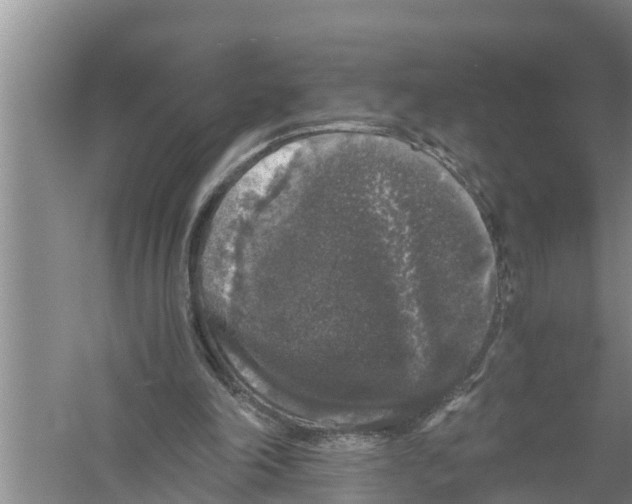 X0000058760198200510281927