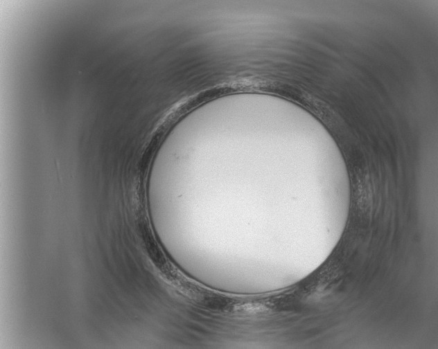 X0000058760208200510281927