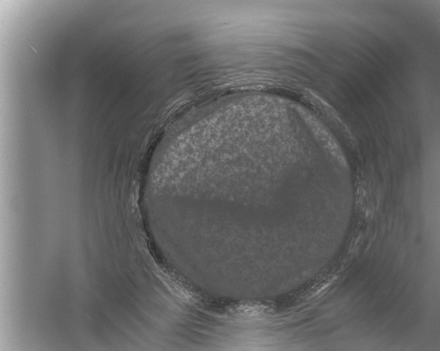 X0000058760209200510281927