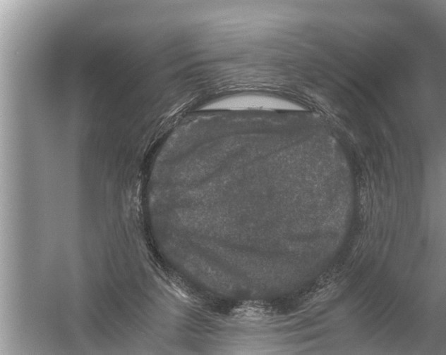 X0000058760211200510281926