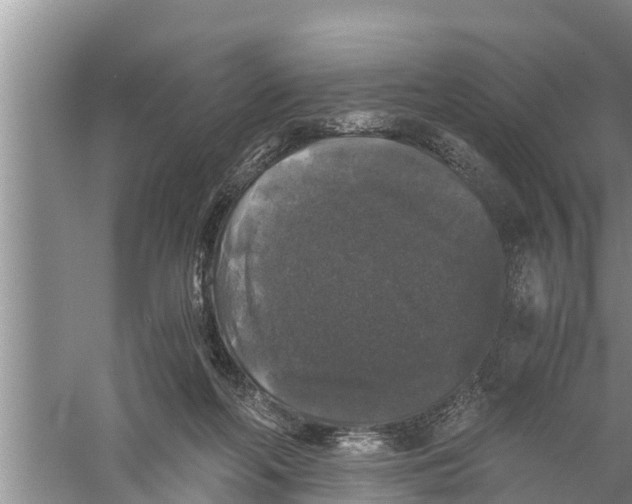 X0000058760214200510281926