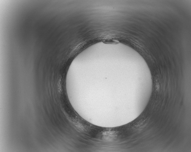 X0000058760216200510281926