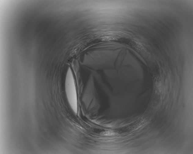 X0000058760219200510281926