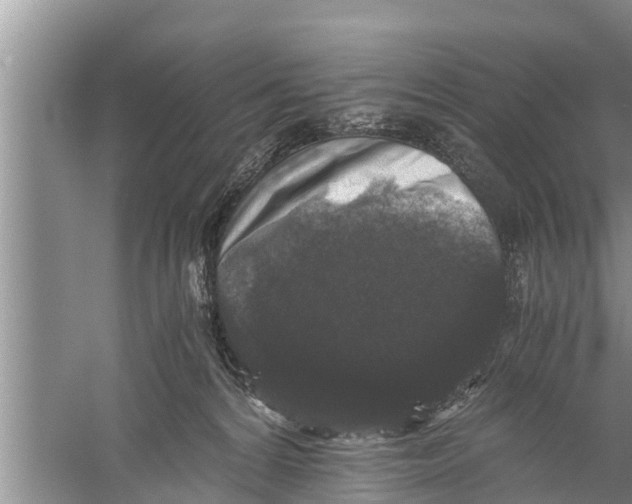 X0000058760224200510281926