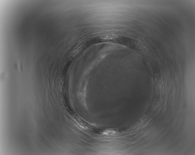 X0000058760227200510281926