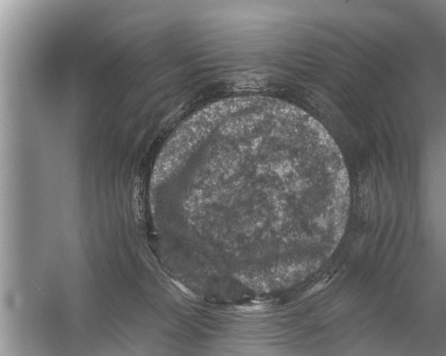 X0000058760228200510281926