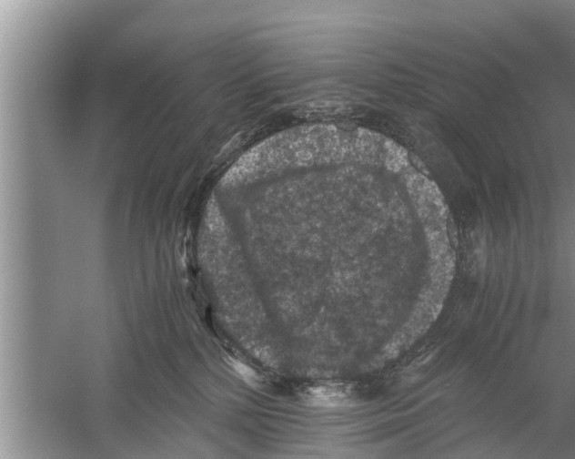 X0000058760232200510281926