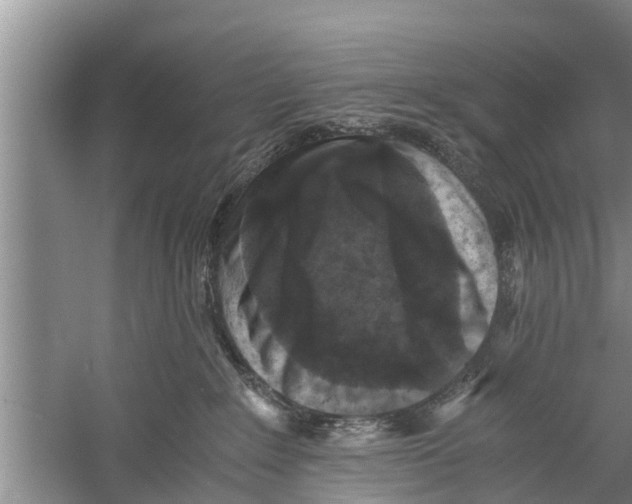 X0000058760235200510281926