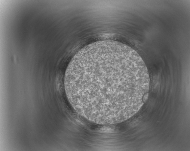 X0000058760236200510281926