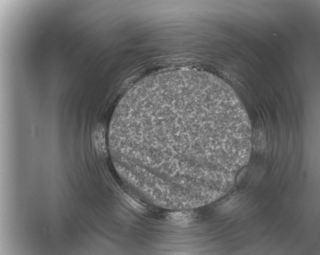 X0000058760238200510281926