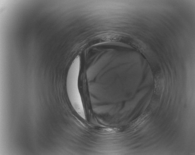 X0000058760239200510281926