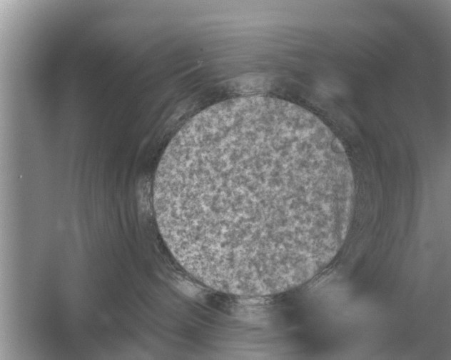 X0000058760240200510281926