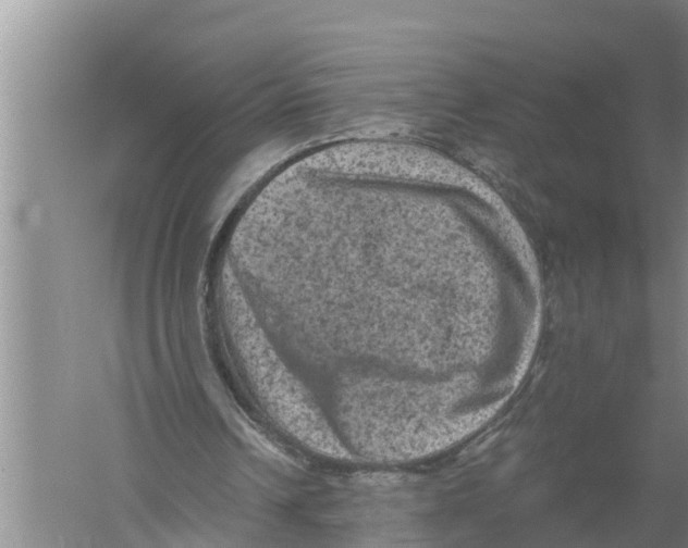 X0000058760242200510281925