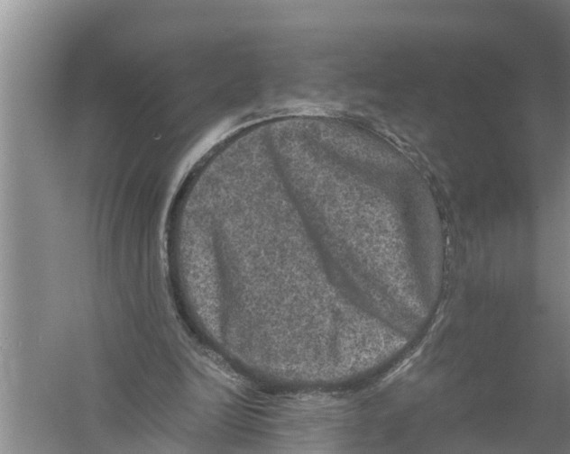 X0000058760246200510281925