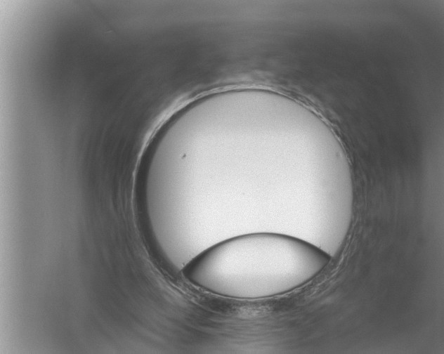 X0000058760248200510281925