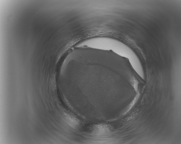 X0000058760250200510281925