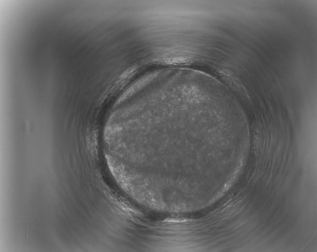 X0000058760260200510281925