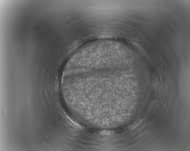 X0000058760261200510281926