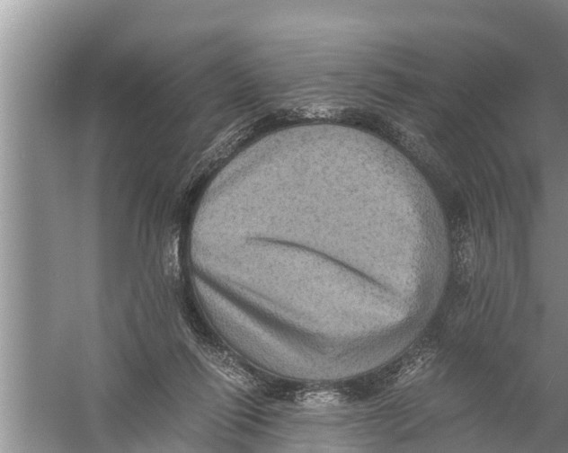 X0000058760262200510281926