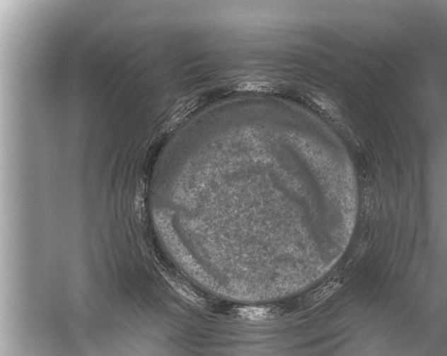 X0000058760265200510281926