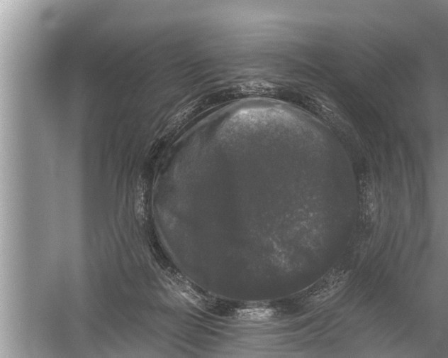 X0000058760266200510281926