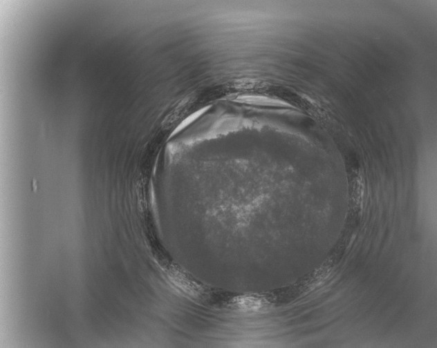 X0000058760272200510281926