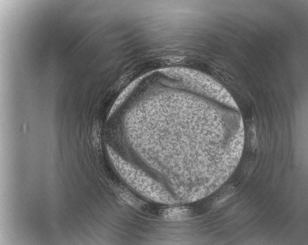 X0000058760274200510281926