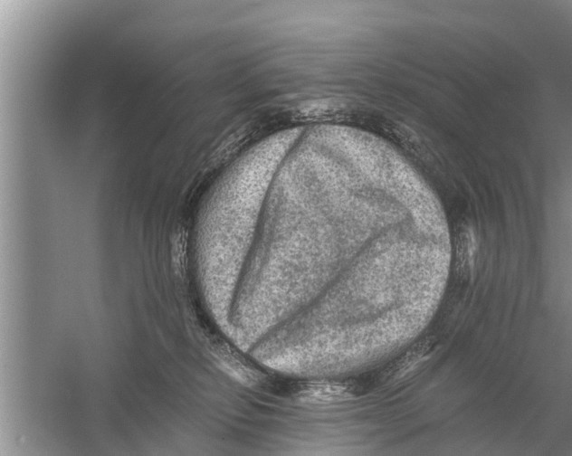 X0000058760278200510281926