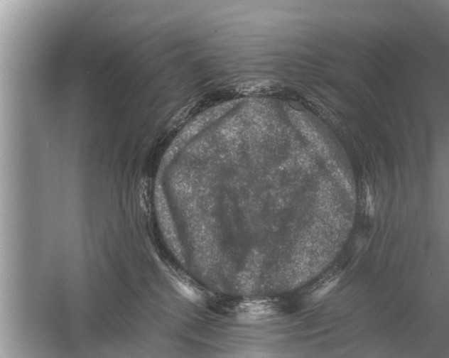 X0000058760280200510281926