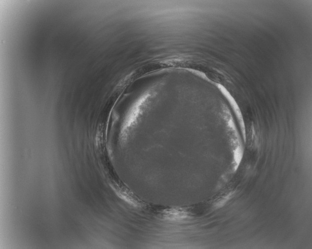 X0000058760284200510281926