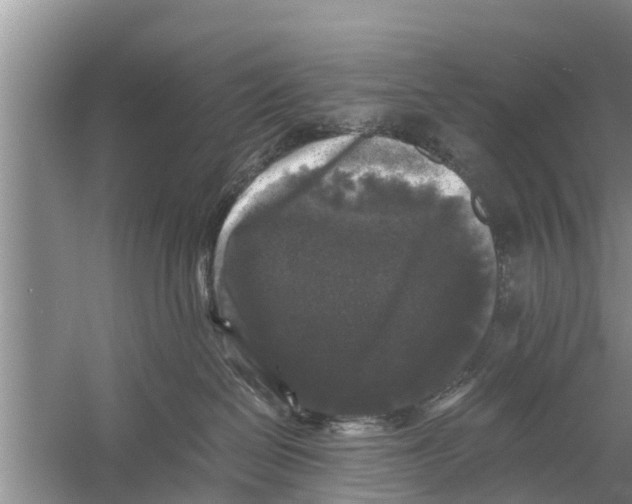 X0000058760286200510281926