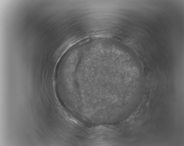 X0000058760290200510281925