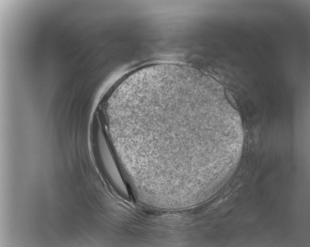 X0000058760294200510281925