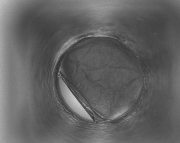 X0000058760295200510281925