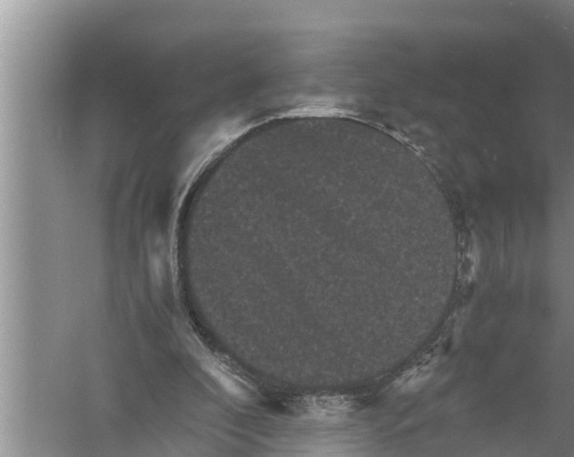 X0000058760296200510281925