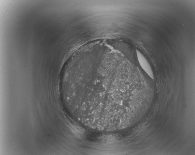 X0000058760299200510281925