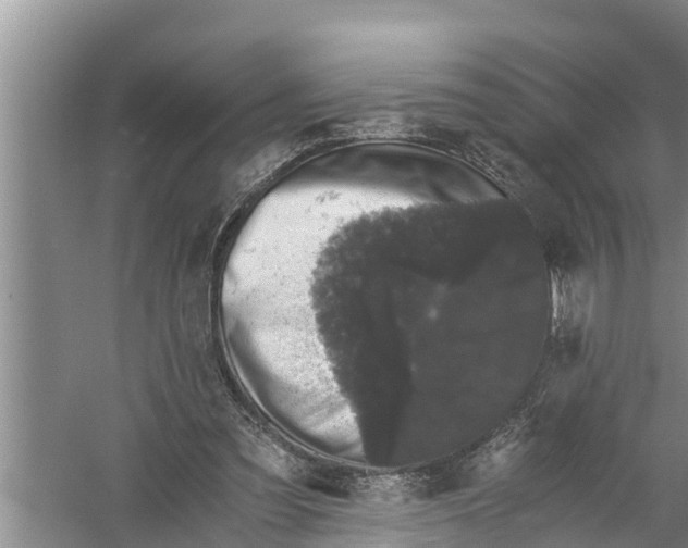 X0000058760301200510281925