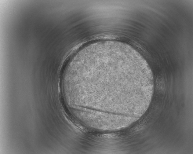 X0000058760302200510281925