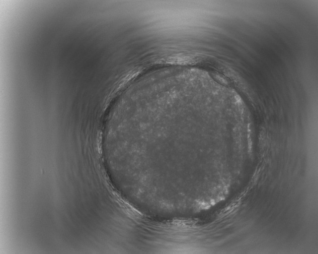 X0000058760305200510281925