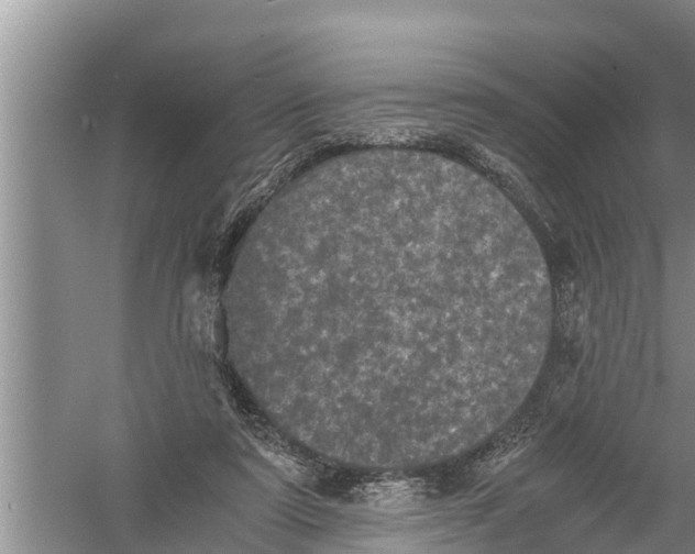 X0000058760307200510281925