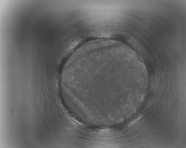 X0000058760309200510281925