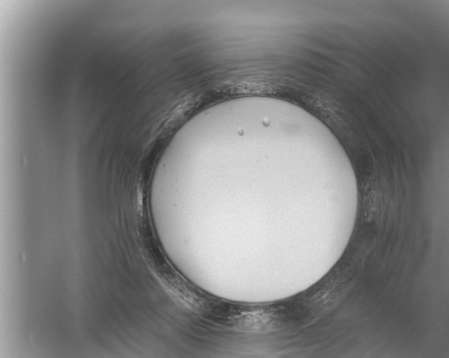 X0000058760310200510281925