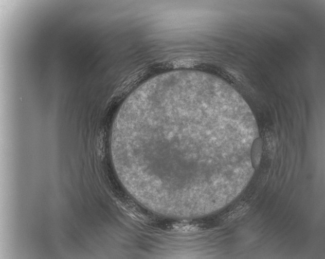 X0000058760311200510281925