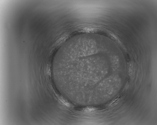 X0000058760313200510281925