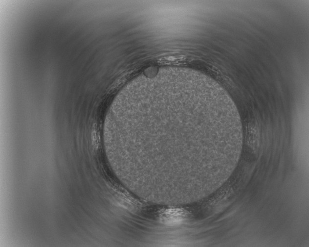 X0000058760324200510281925